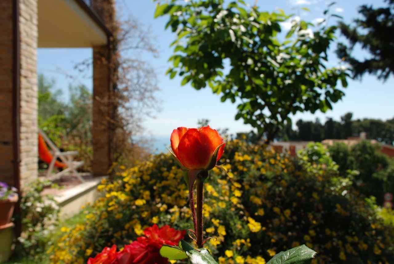 Bed & Breakfast Latteletto Tortoreto Bagian luar foto